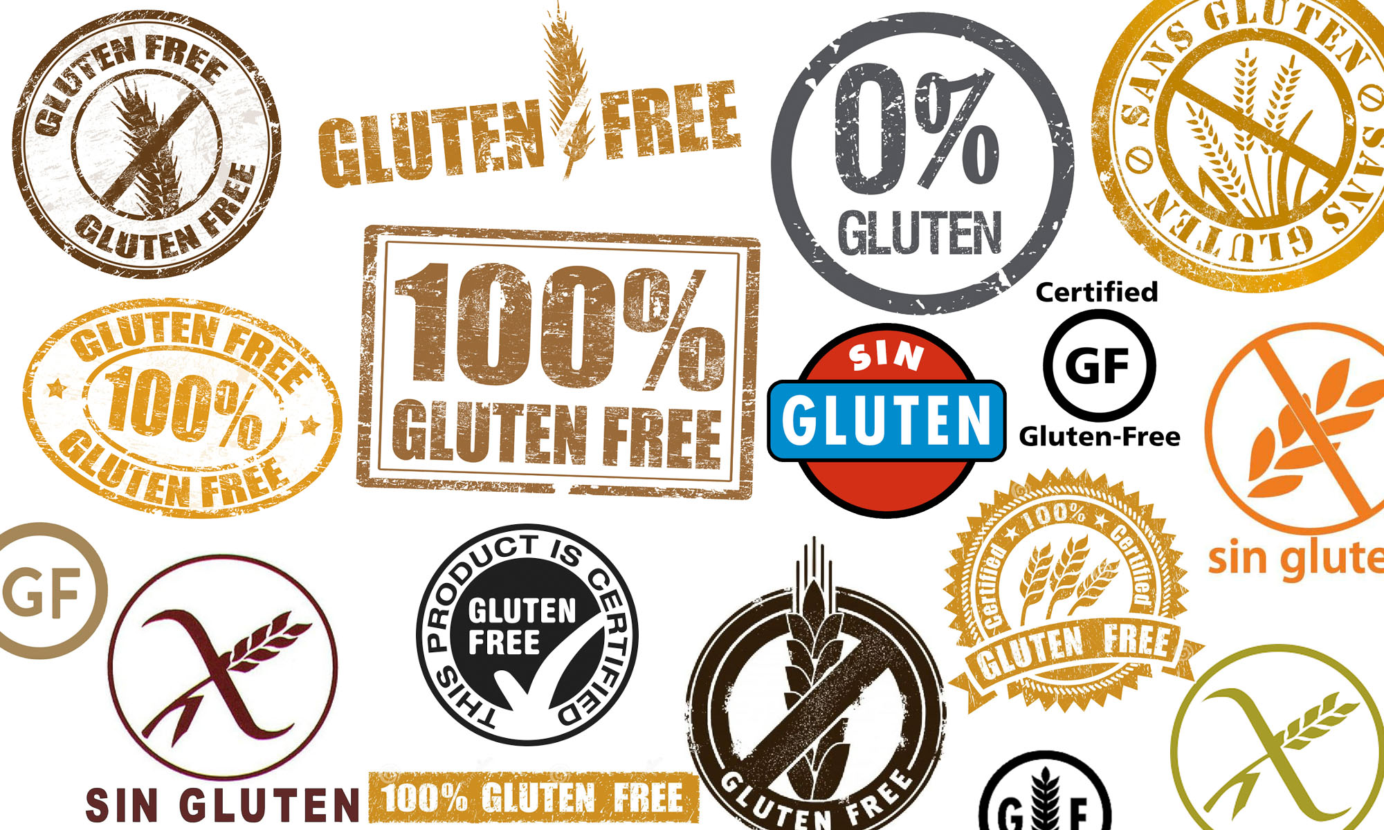 The Gluten-Free Traveler